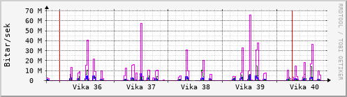 Sustu vikur Graph