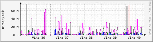 Sustu vikur Graph