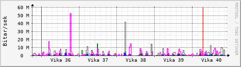 Sustu vikur Graph