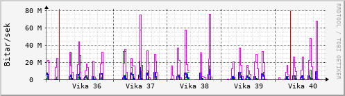 Sustu vikur Graph