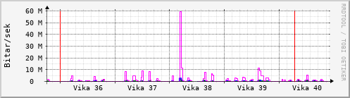 Sustu vikur Graph