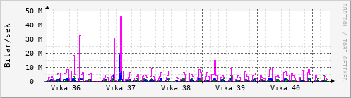 Sustu vikur Graph