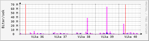 Sustu vikur Graph