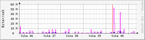 Sustu vikur Graph